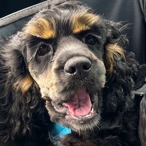 Meet your Posher, Melanie